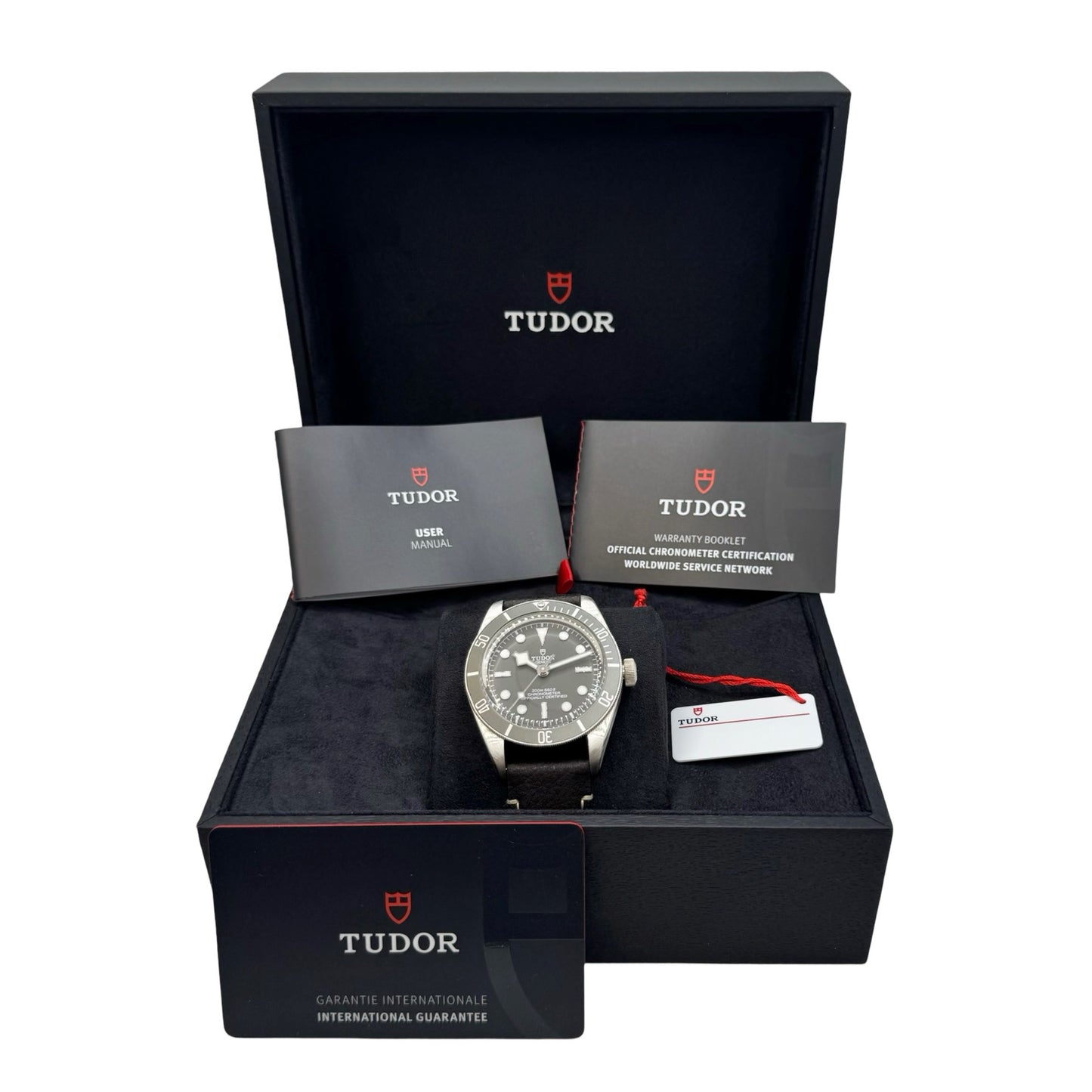 Tudor Heritage Black Bay Fifty-Eight 925 Taupe Dial Black Leather M79010SG-0001