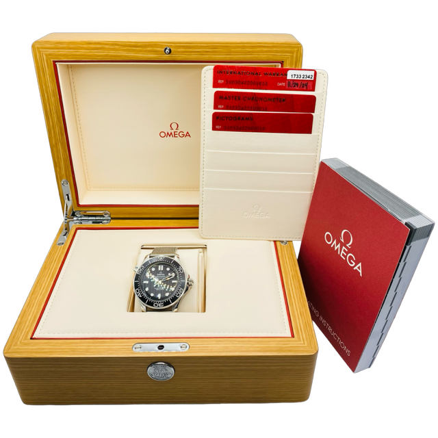 Omega Seamaster 300M Diver 42mm Steel on Steel Black Dial 210.30.42.20.01.010