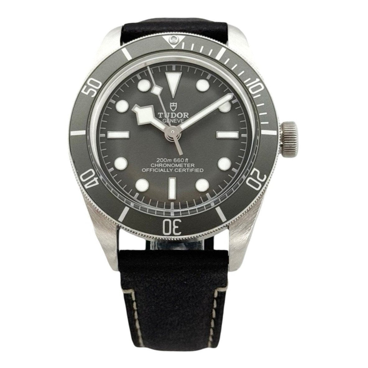 Tudor Heritage Black Bay Fifty-Eight 925 Taupe Dial Black Leather M79010SG-0001