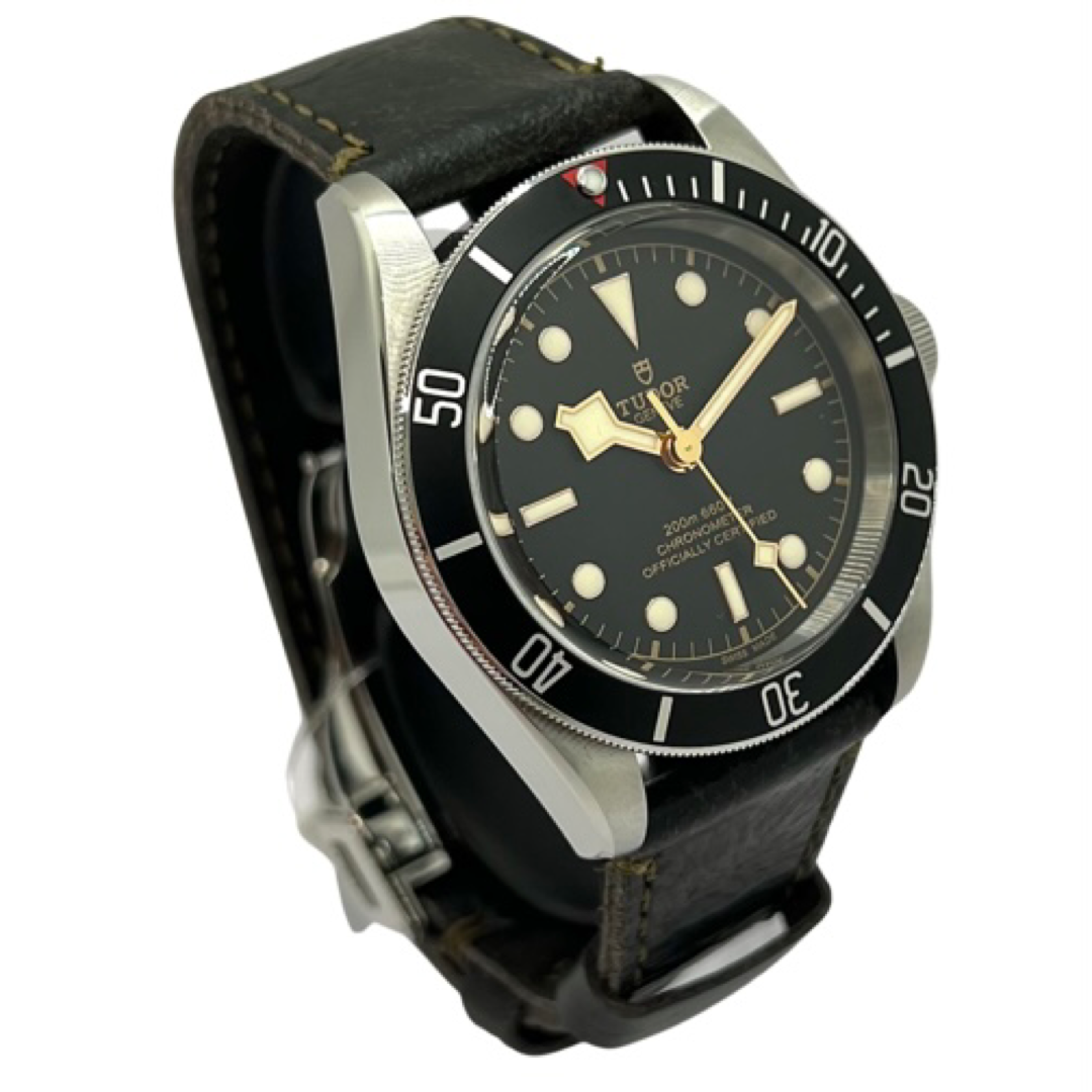 Tudor Black Bay M79230N-008