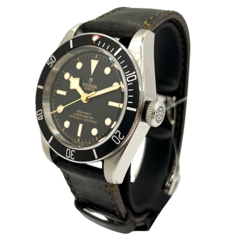 Tudor Black Bay M79230N-008