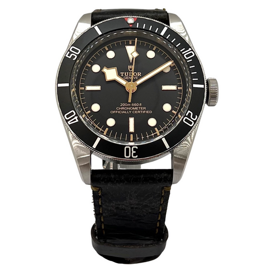 Tudor Black Bay M79230N-008